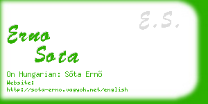 erno sota business card